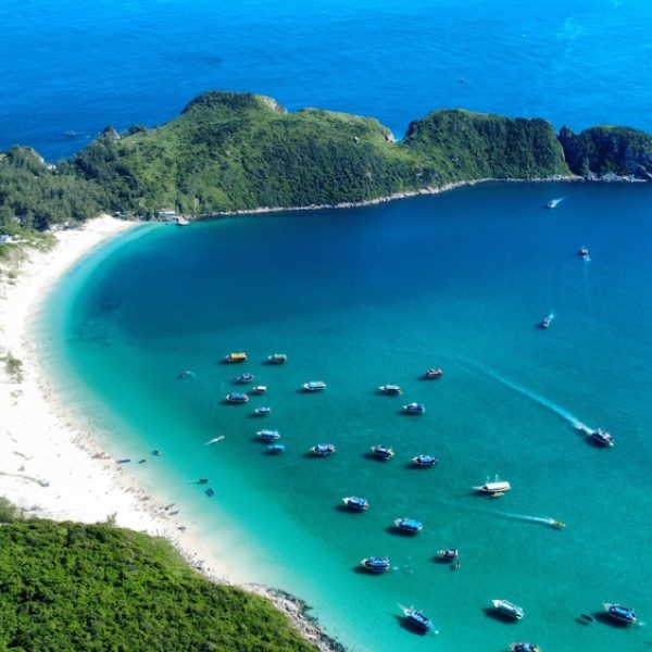 Arraial new