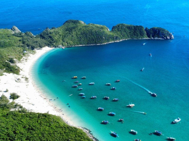 Arraial new